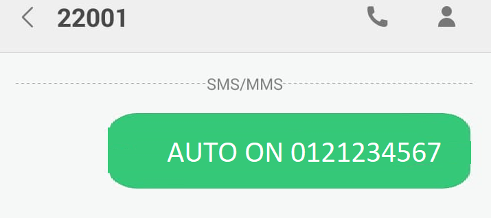 Maxis_FF_Auto_ON_22001